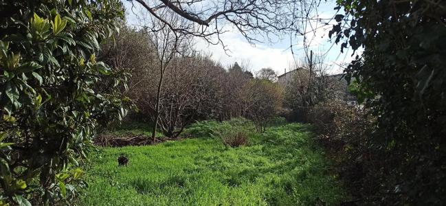 Acheter Terrain 1545 m2 Marseille-13eme-arrondissement