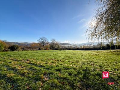 Acheter Maison 206 m2 Quarre-les-tombes