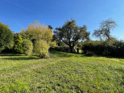 Annonce Vente 3 pices Maison Vitry-aux-loges 45