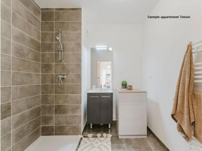 Acheter Appartement Orchies Nord