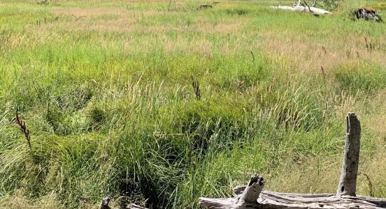 For sale Taillan-medoc 730 m2 Gironde (33320) photo 0