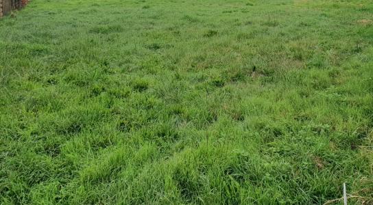 For sale Brach 485 m2 Gironde (33480) photo 1