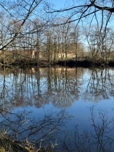 Annonce Vente Prestige Laizy 71