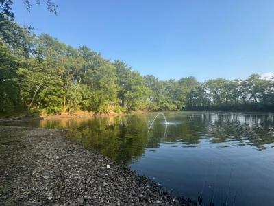 Acheter Prestige Laizy Saone et loire