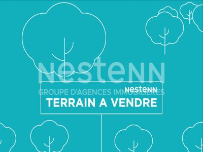 Annonce Vente Terrain Cellettes 41
