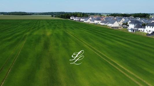 Acheter Terrain Guichainville 49000 euros