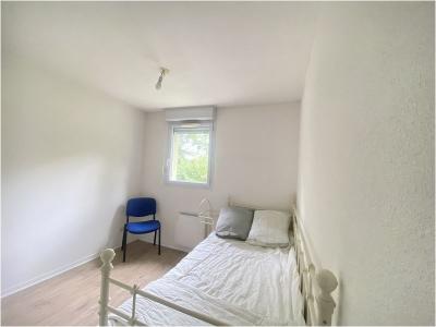 Annonce Location 3 pices Appartement Toulouse 31