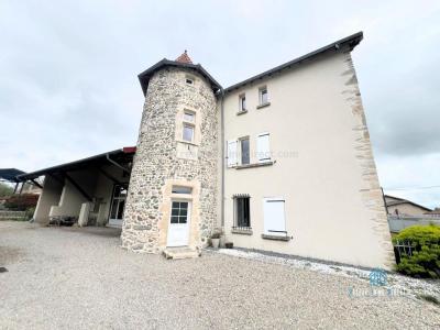 Acheter Prestige 290 m2 Bourgoin-jallieu