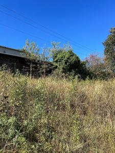 Acheter Terrain  Tarn