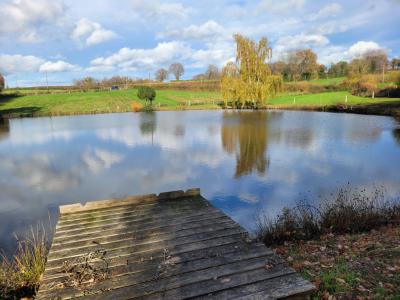 Annonce Vente Terrain  36