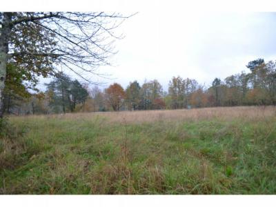 Annonce Vente Terrain Saint-jean-d'ataux 24