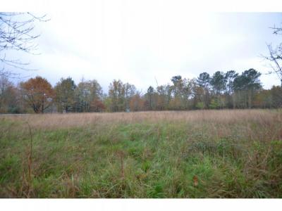 Acheter Terrain 4424 m2 Saint-jean-d'ataux