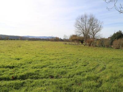 Acheter Terrain 3173 m2 Dracy-saint-loup