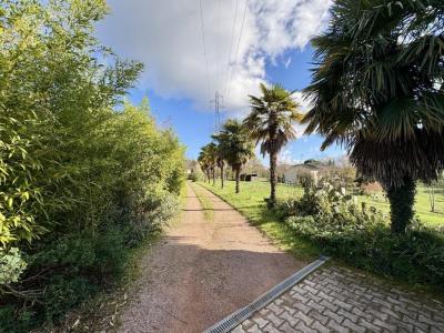 Acheter Prestige Capdenac Lot