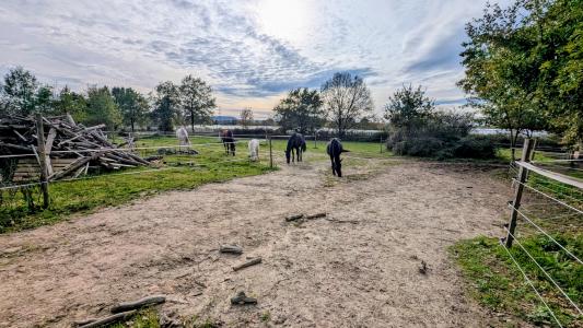 Acheter Maison 120 m2 Villeneuve-sur-lot