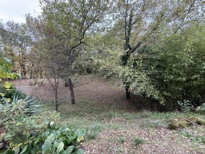 Annonce Vente 7 pices Maison Albi 81