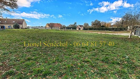 Annonce Vente Terrain Joue-l'abbe 72