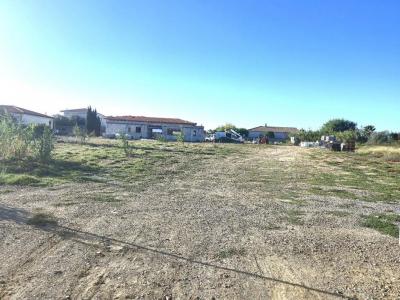 For sale Pia 889 m2 Pyrenees orientales (66380) photo 0