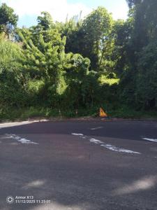 For sale Marin 2300 m2 Martinique (97290) photo 0