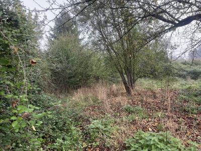 Annonce Vente 3 pices Maison Miramont-de-comminges 31