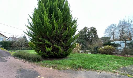 Annonce Vente Terrain Montbazon 37