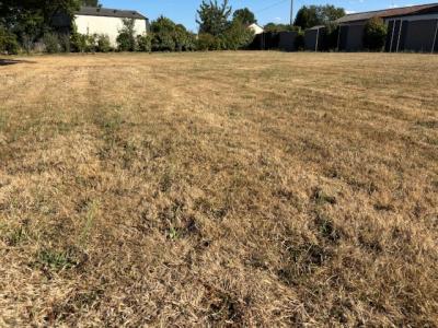 Annonce Vente Terrain Chemille 49