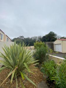 For rent Chateau-d'olonne 2 rooms 53 m2 Vendee (85180) photo 1