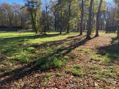 Annonce Vente Maison Magescq 40