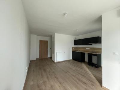 For rent Nantes 2 rooms 42 m2 Loire atlantique (44300) photo 0