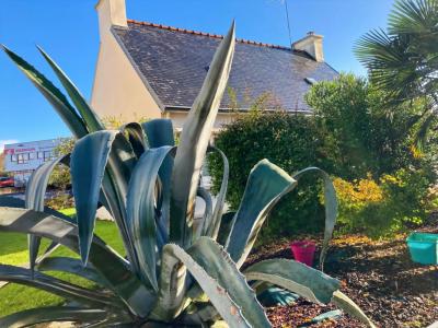 For sale Quimper 3 rooms 60 m2 Finistere (29000) photo 0