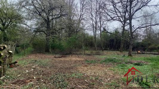 Acheter Terrain 2200 m2 Saint-germain-les-arlay