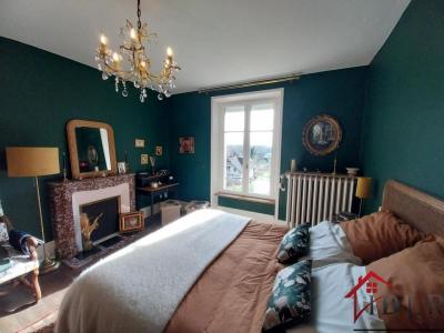 Acheter Prestige Luxeuil-les-bains 570000 euros