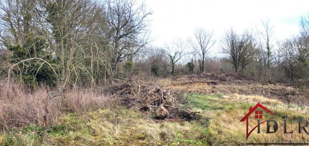 For sale Soignolles-en-brie 776 m2 Seine et marne (77111) photo 0