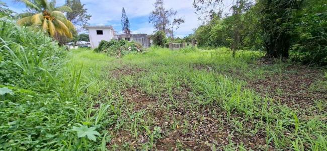 Annonce Vente Terrain Lamentin 971