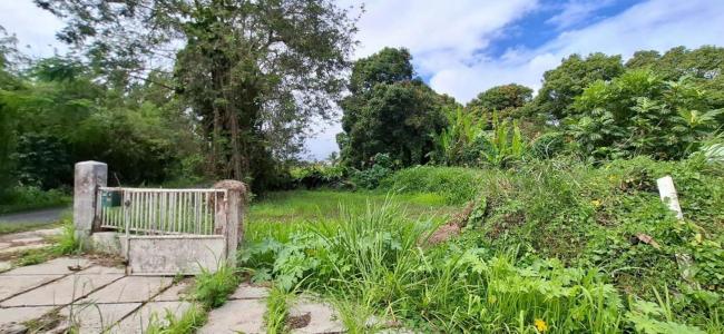 Acheter Terrain Lamentin Guadeloupe