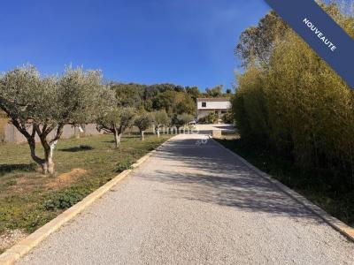 Acheter Prestige Pouget Herault