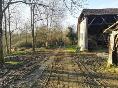 Acheter Prestige Bassoues Gers