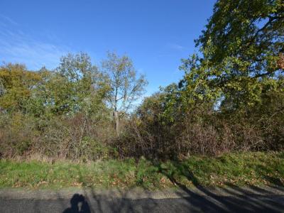 Acheter Terrain Saint-lary Gers