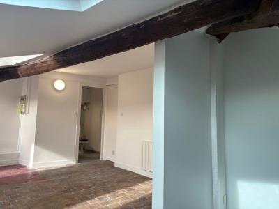 Annonce Location Appartement Lyon-7eme-arrondissement 69