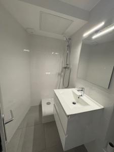 Louer Appartement Lyon-7eme-arrondissement Rhone