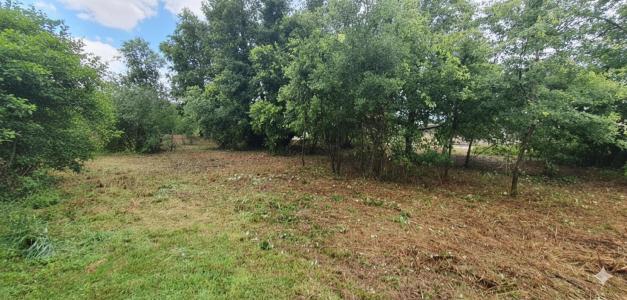 Annonce Vente Terrain Albias 82