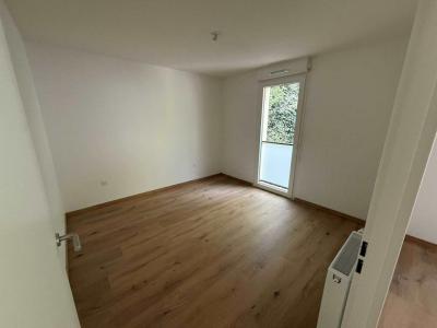 Annonce Location 2 pices Appartement Nancy 54