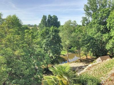 Annonce Vente 11 pices Maison Vineuil 41