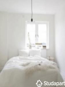 Louer Appartement Paris-8eme-arrondissement Paris