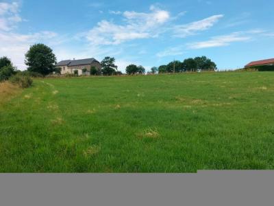 Acheter Terrain  Cantal