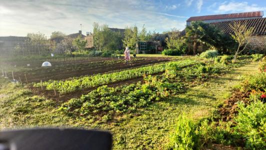 For sale Deux sevres (79160) photo 0