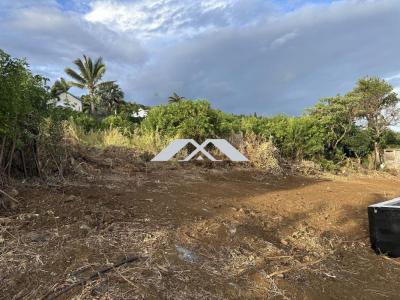 For sale Saint-joseph 590 m2 Reunion (97480) photo 0