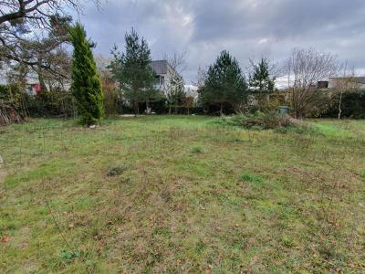 Acheter Terrain 2560 m2 Chateauroux