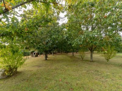 Acheter Maison 144 m2 Campbon