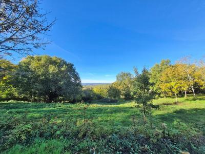 Acheter Terrain 8085 m2 Cassagne